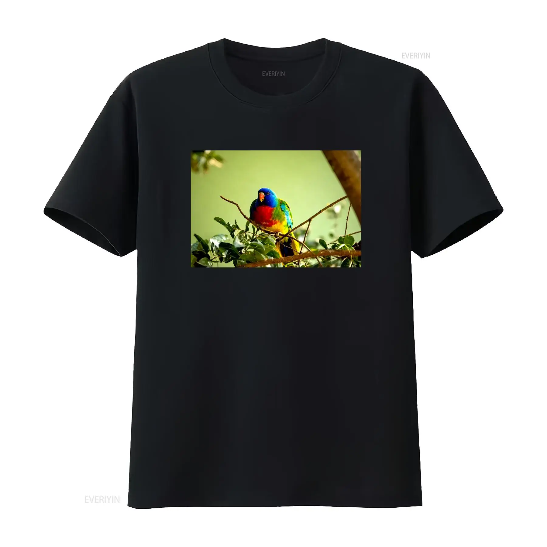 Scarlet Chested Parrot Made in - đánh giá và giá Vintage Fashion Australia