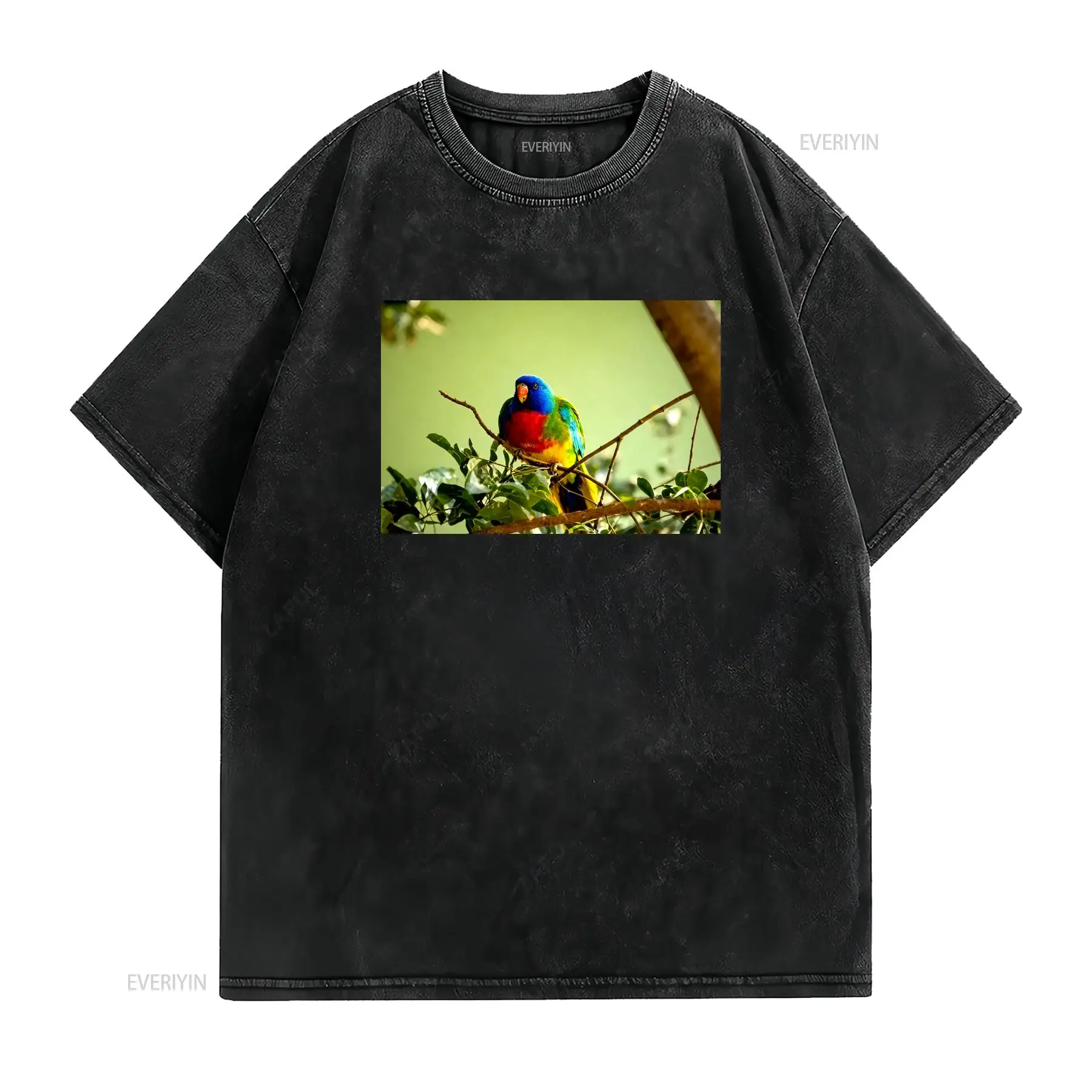 Scarlet Chested Parrot Made in - đánh giá và giá Vintage Fashion Australia