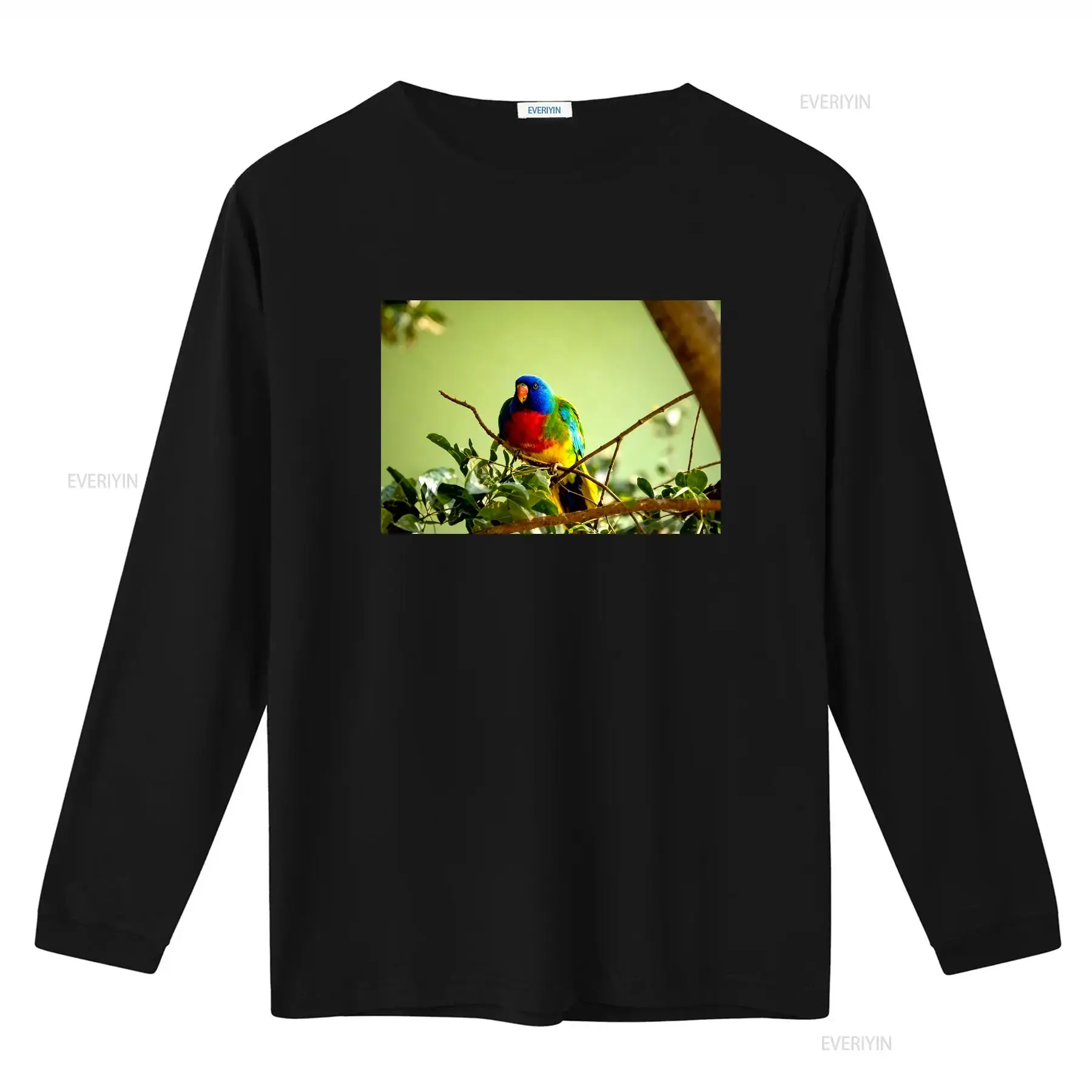 Scarlet Chested Parrot Made in - đánh giá và giá Vintage Fashion Australia