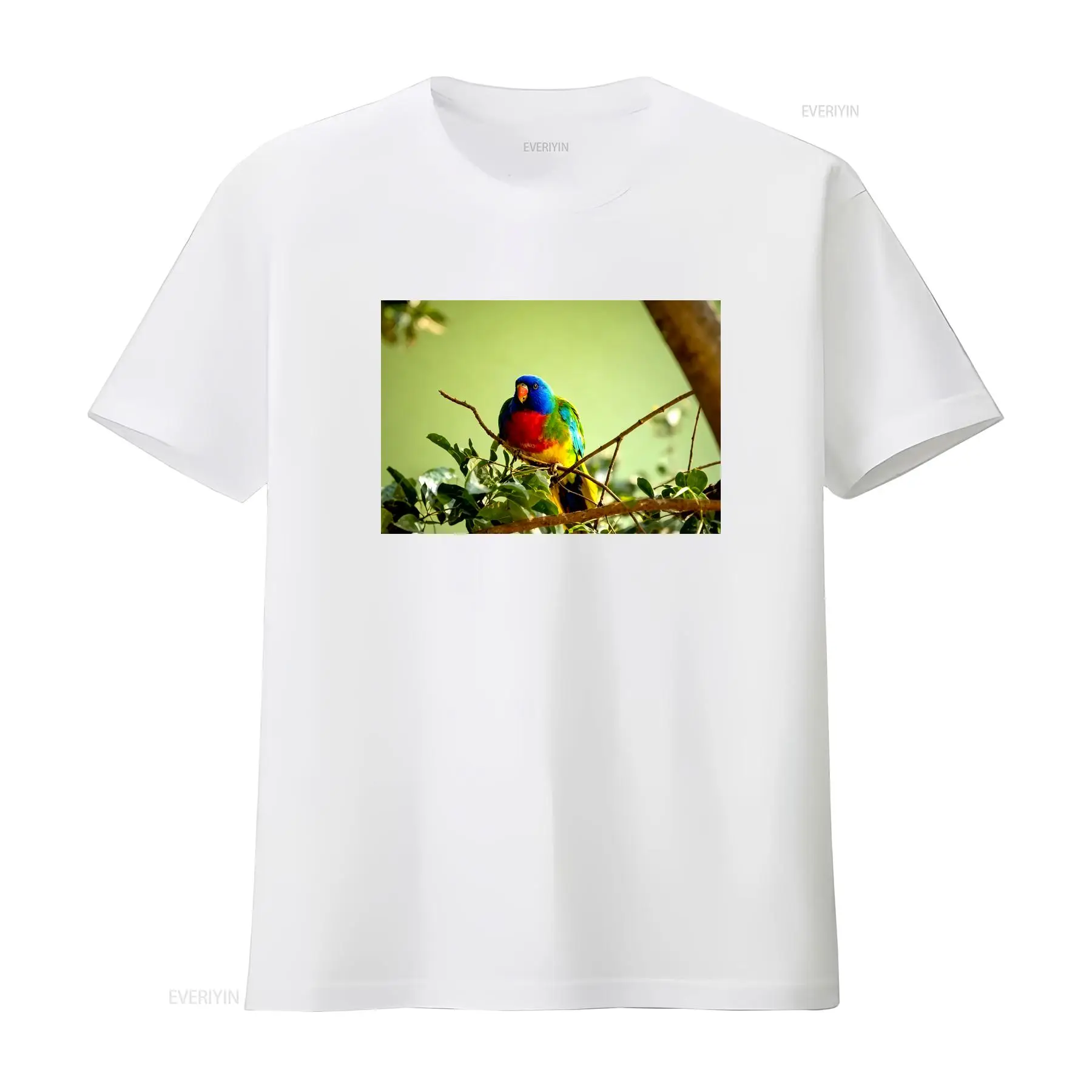 Scarlet Chested Parrot Made in - đánh giá và giá Vintage Fashion Australia