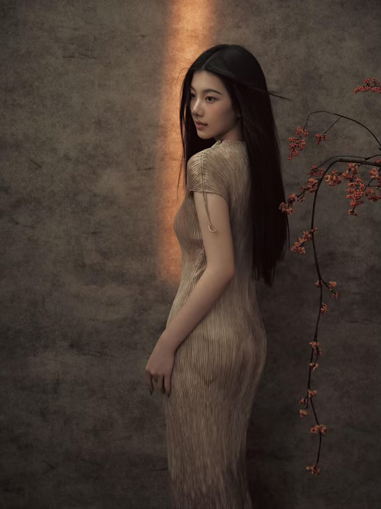 New 2026 Chinese Style Portrai - đánh giá và giá Vintage Fashion Art